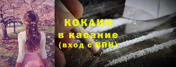 шишки Алексин