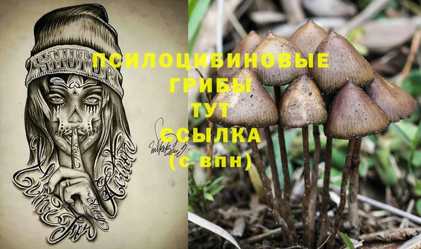 шишки Алексин