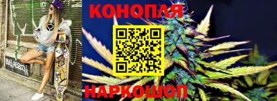 гидропоника Аша