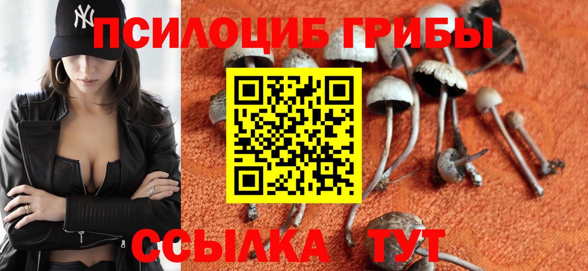 Псилоцибиновые грибы Magic Shrooms  Вход с VPN  Псилоцибиновые грибы прущие грибы  Анапа 