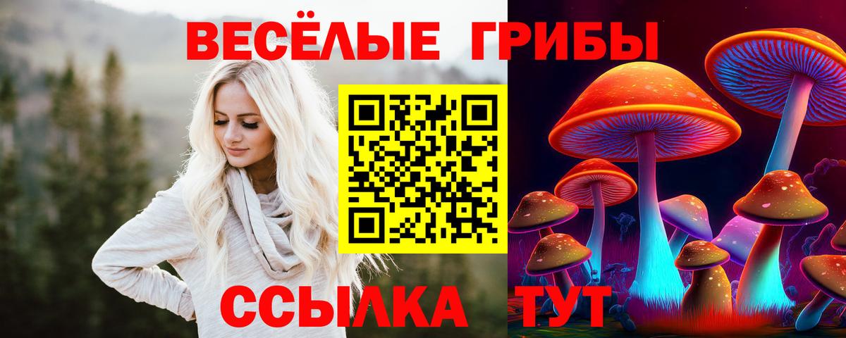 Галлюциногенные грибы MAGIC MUSHROOMS Анапа